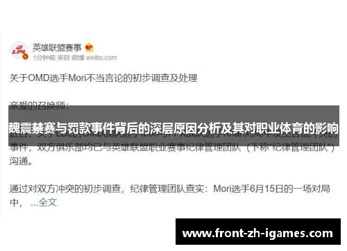 魏震禁赛与罚款事件背后的深层原因分析及其对职业体育的影响